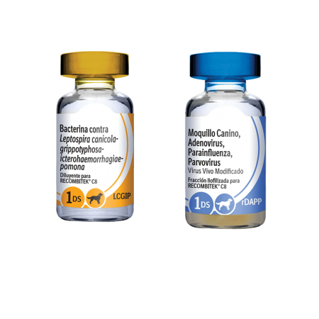 Recombitek C8® vacuna a virus vivo modificado contra el Distemper Canino, Hepatitis, Parvovirosis, Adenovirosis tipo 2, Parainfluenza y 4 cepas de Leptospirosis