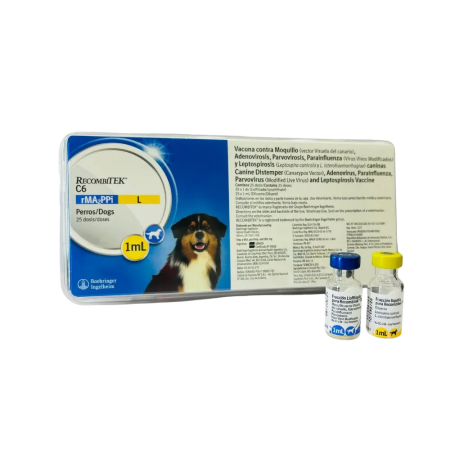 Recombitek C6® vacuna sextuple contra el Distemper Canino, Hepatitis, Parvovirosis, Adenovirosis tipo 2, Parainfluenza y 2 cepas de Leptospirosis