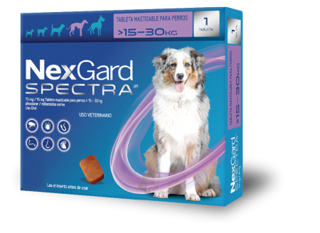 Nexgard Spectra® Masticable Large – Desparasitante interno y externo de 33.1 a 66 lbs.